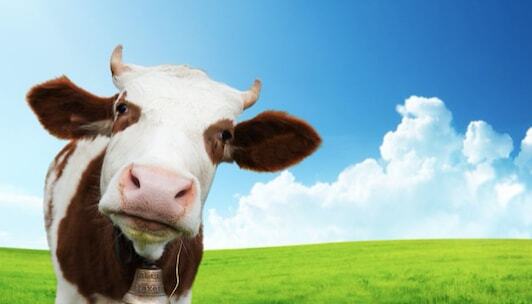 Win Beef Sweepstakes Contests min