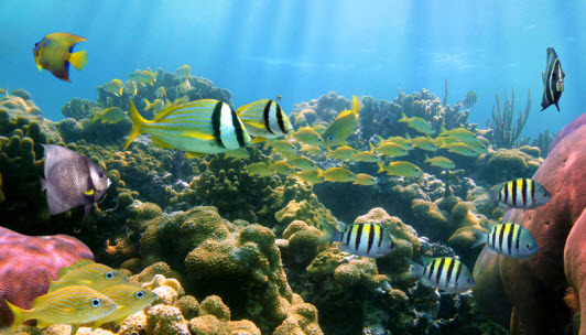 Win Costa Rica Vacation Sweepstakes