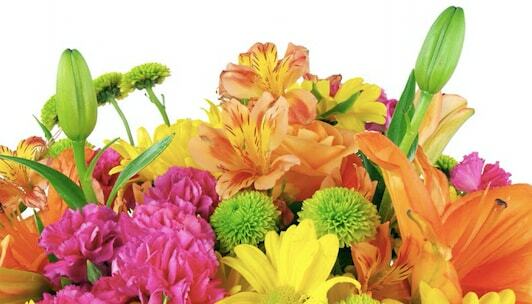 Win Flowers Sweepstakes Contests min