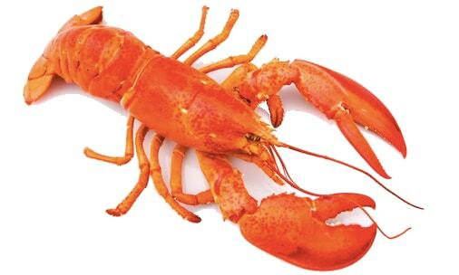 Win Lobster Sweepstakes Contests min