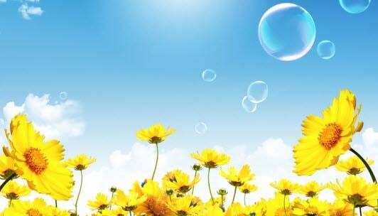 Win Spring 2013 Sweepstakes min