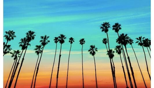 Win Vacation Sweepstakes contests tropical min