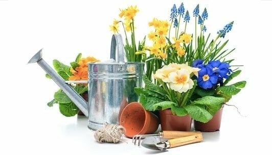 Win gardening sweepstakes contest giveaways min