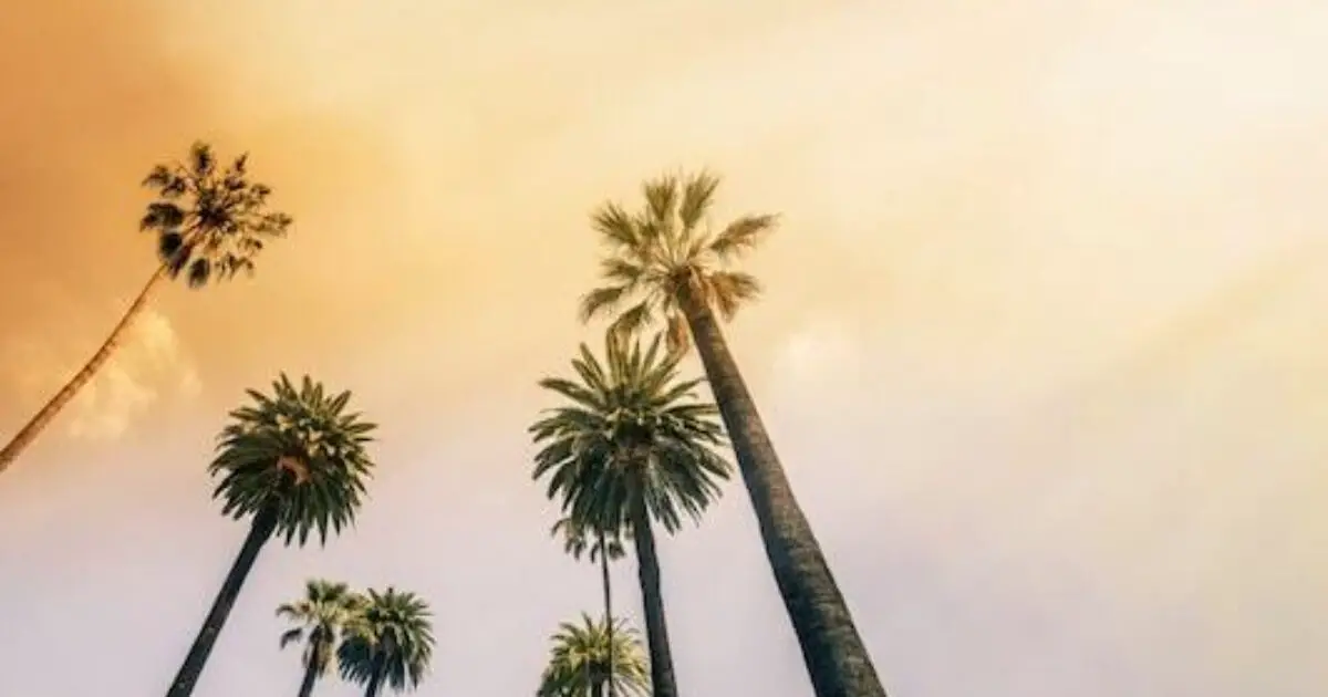 Vacation Sweepstakes 2025