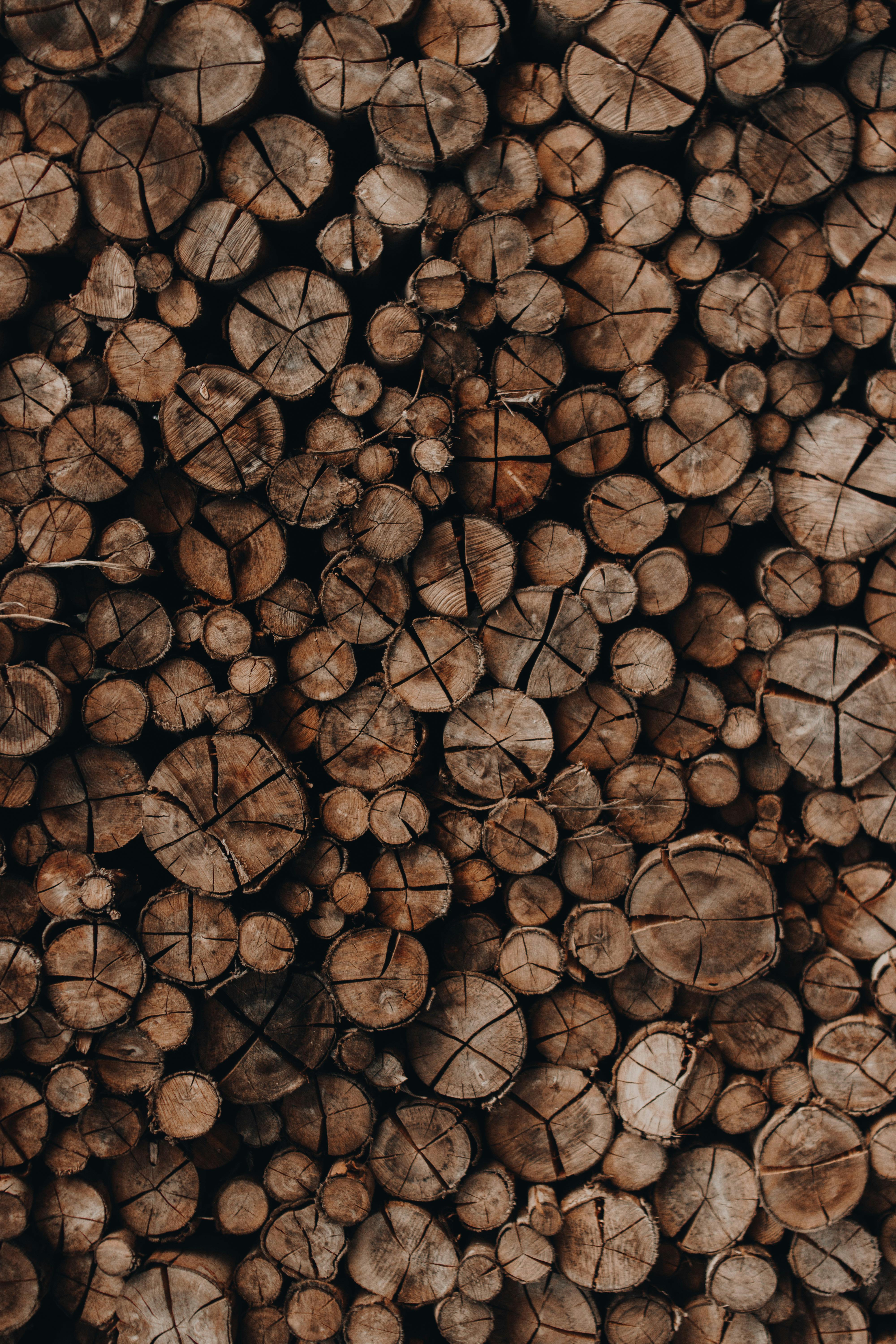 Lumber